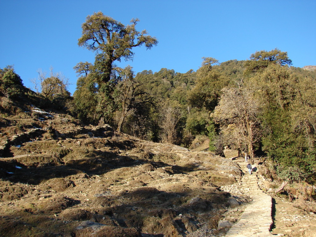 Trekking In Kumaon Himalayas - India Travel Blog